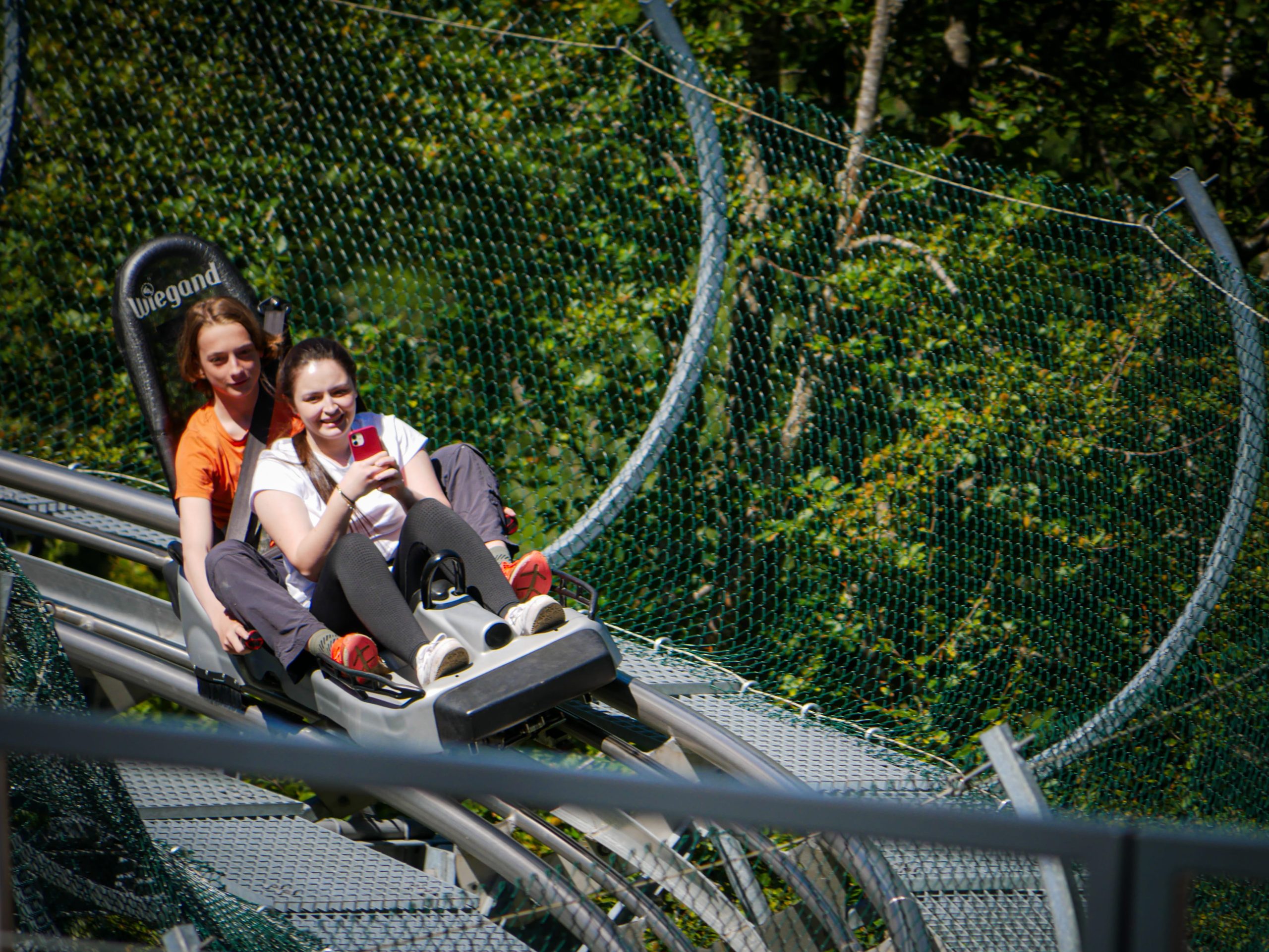 Descente en luge sur rails